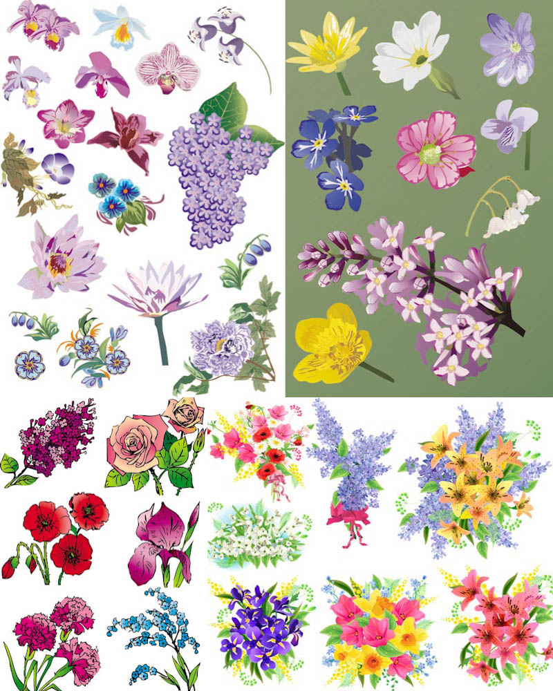 800x1000 Flower Vector Clipart