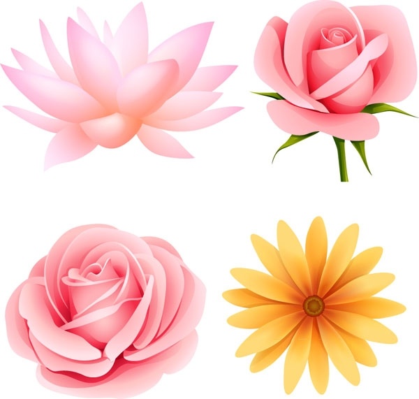 600x571 Beautiful Small Flowers Vector 4 Free Vector In Encapsulated