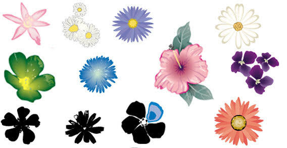 568x294 Hibiscus Flowers Vector Art Free 123freevectors