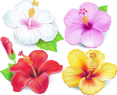 453x368 Beautiful Flower Vector Free Free Vector Download (18,249 Free