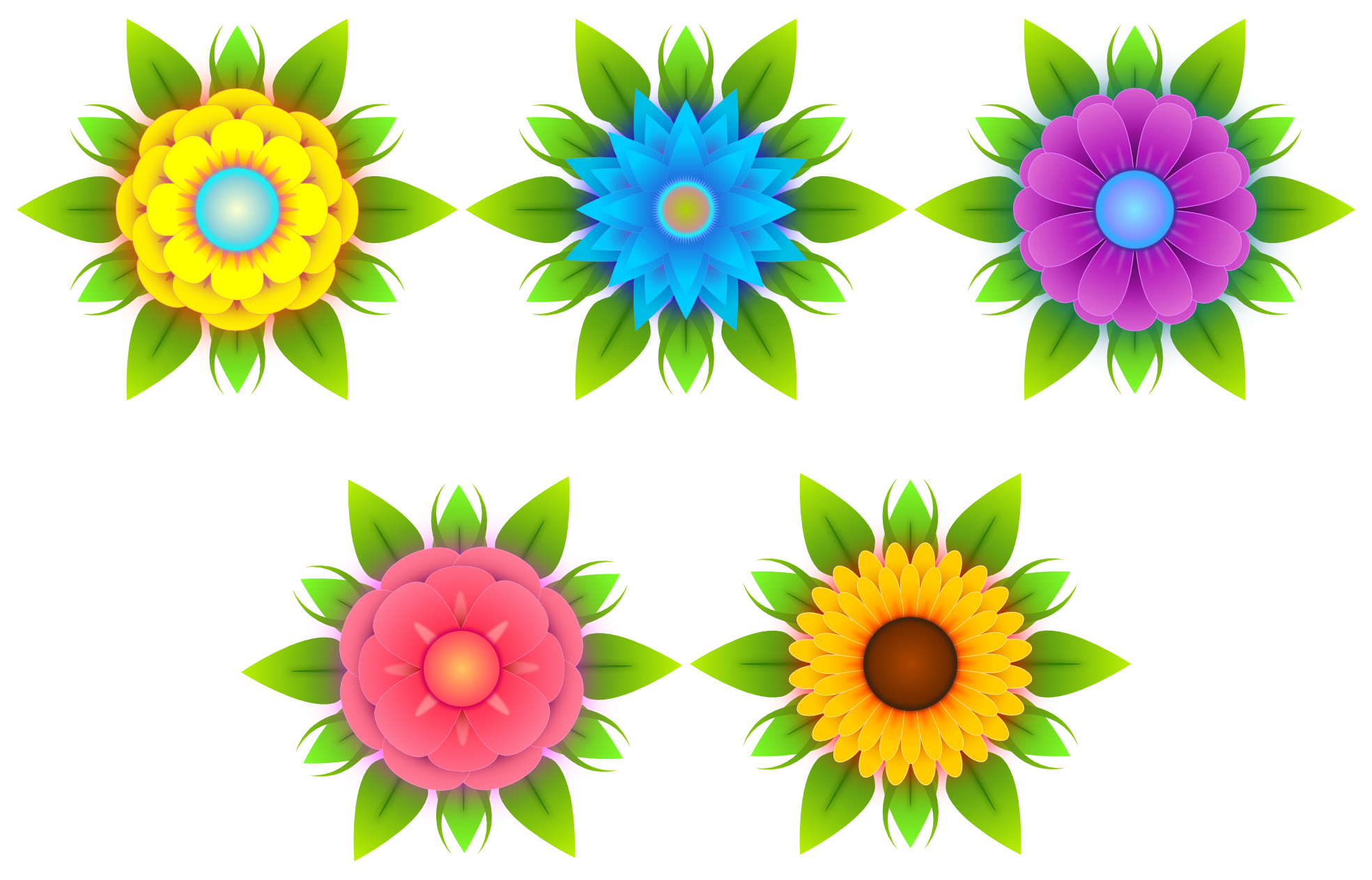 1969x1264 Flowers Vectors Png Transparent Images Png All
