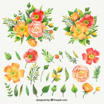 350x350 Need Watercolor Flowers Vectors, Psds Or Stock Photos