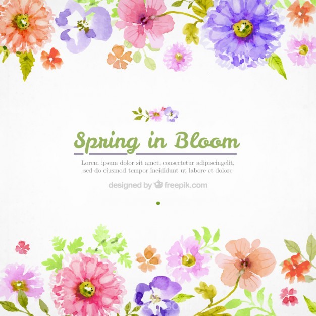 626x626 Ai] Watercolor Flowers Spring Background Vector Free Download