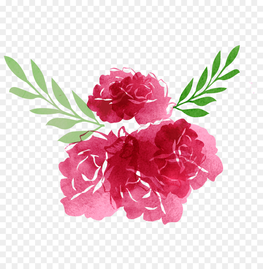 900x920 Download Garden Roses Flower Vector Drawings Hand Drawn Watercolor