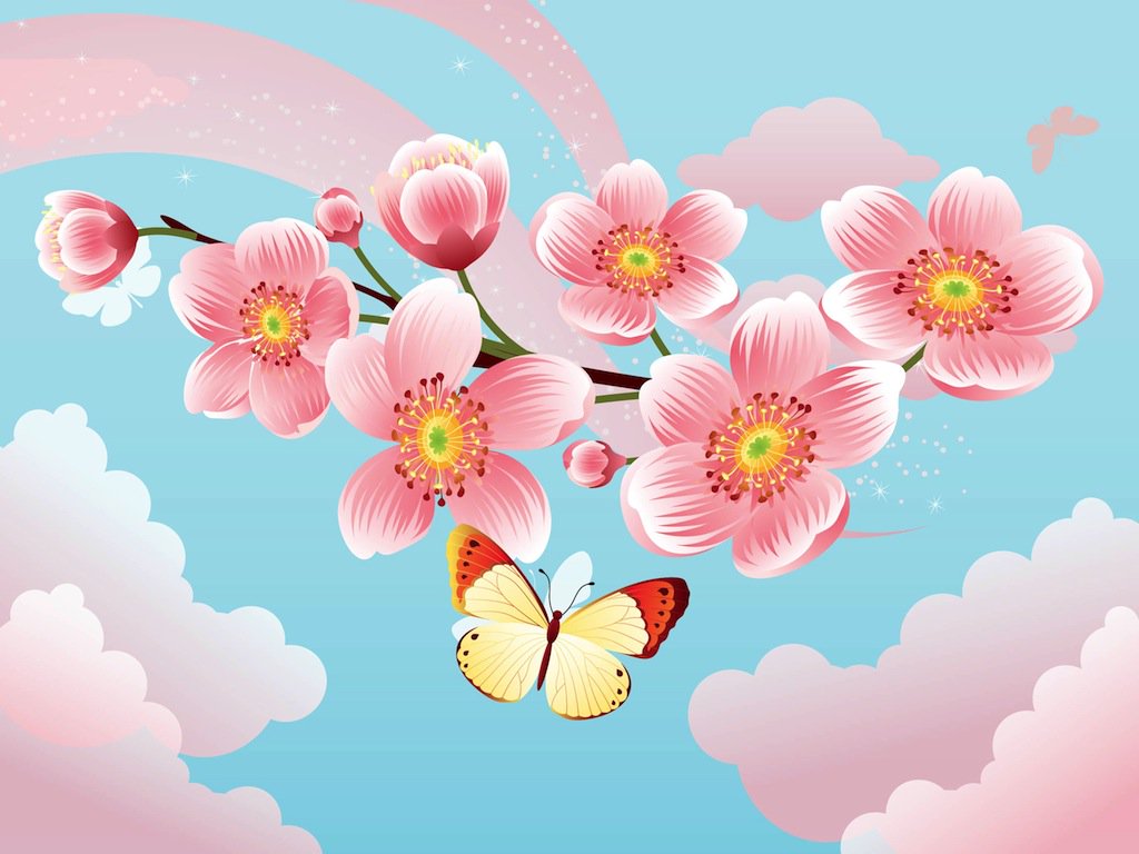 1024x768 Sakura Flowers Vector Art Amp Graphics