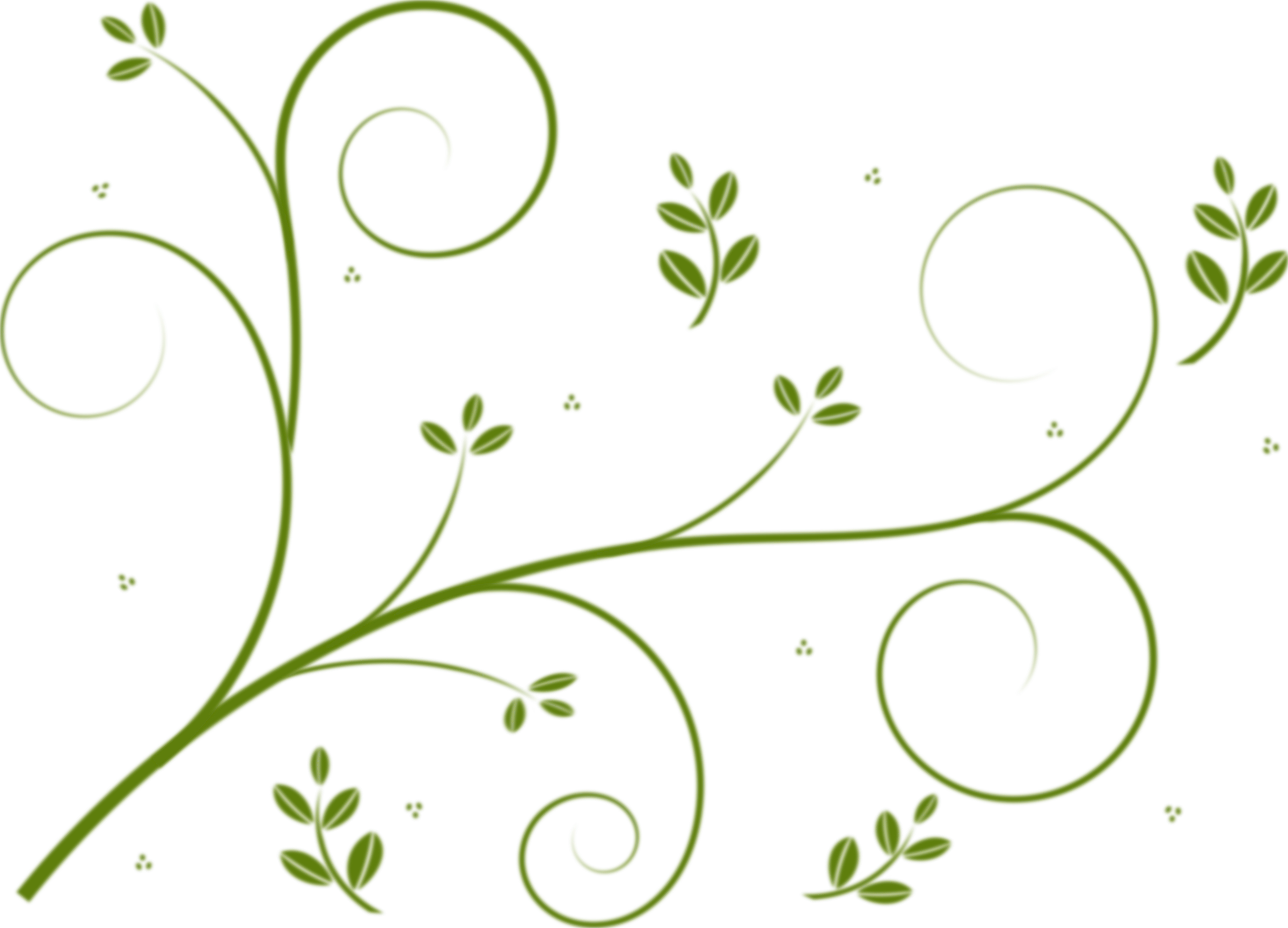 2400x1729 Vine Flower Library