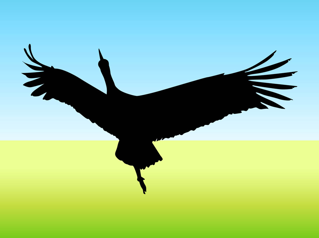 1024x765 Flying Bird Vector Vector Art Amp Graphics