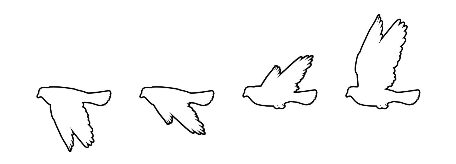 1600x577 Simple Flying Bird Vectors