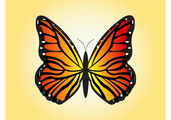 700x490 Flying Butterfly Vector
