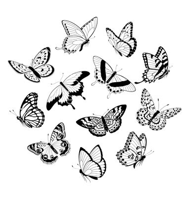 380x400 Flying Black White Butterflies Vector 896191