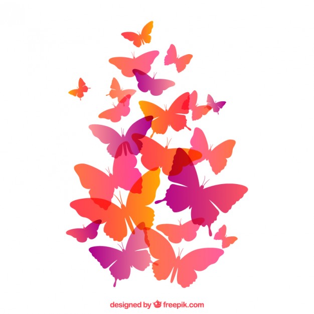 626x626 Butterflies Flying Vector Free Download