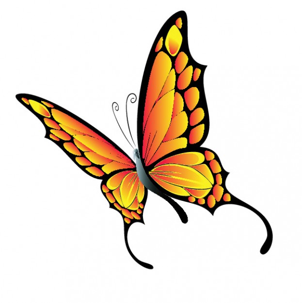 623x626 Flying Butterfly Vector Free Download