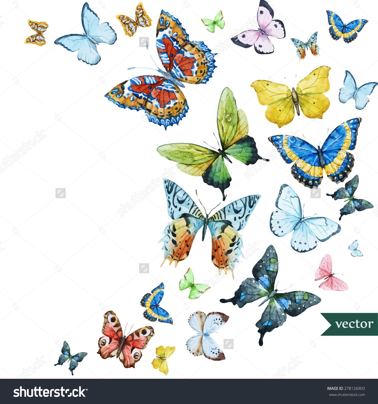 1500x1600 Watercolor Flying Butterflies, Vector