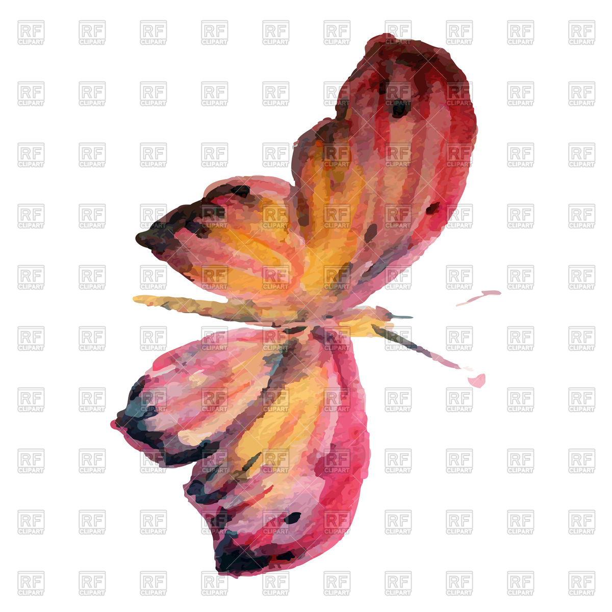 1200x1200 Watercolor Beautiful Flying Butterfly Vector Image Vector