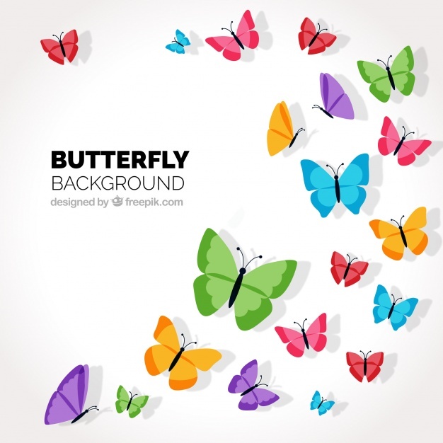 626x626 Butterfly Vectors, Photos And Psd Files Free Download