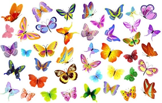 569x360 Butterfly Fly Free Vector Download (3,407 Free Vector) For