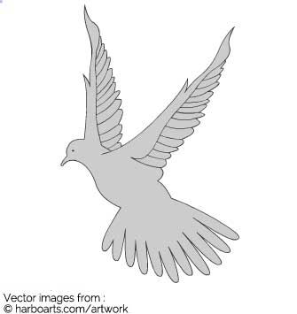 335x355 Download Dove Flying