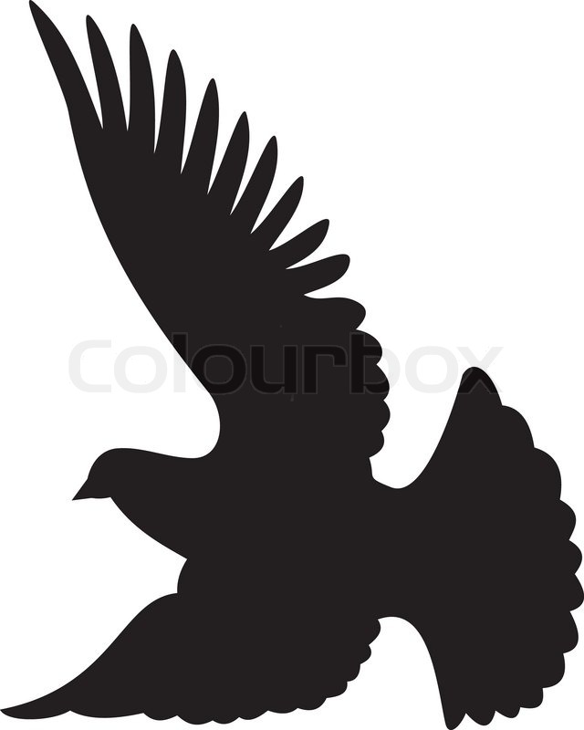 640x800 Flying Dove Silhouette On White Background Stock Vector Colourbox