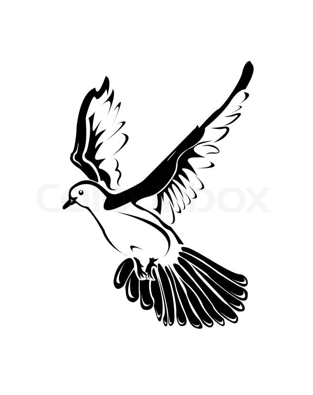 634x800 On A Black And White Picture Shows A Flying Dove. Stock Vector