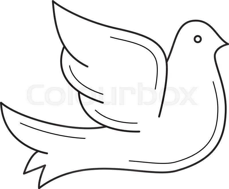 800x662 Dove Vector Line Icon Isolated On White Background. Flying Wedding