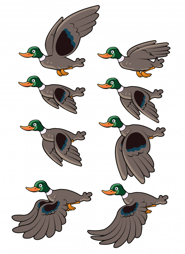 626x860 Flying Duck Animation Sprite Vector Premium Download