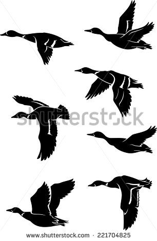 306x470 Vector Flying Duck Free Vector For Free Download About (10) Free
