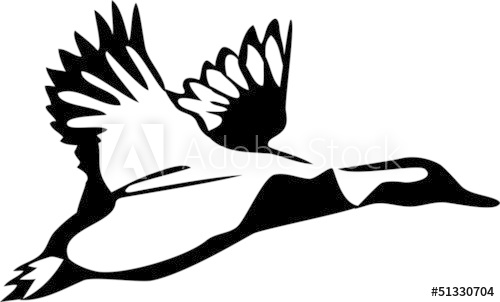 500x302 Flying Duck