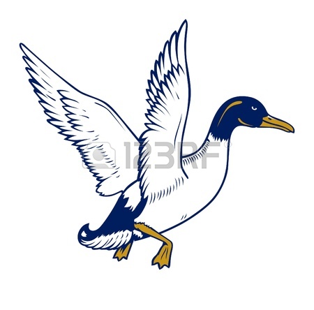 450x444 Flying Duck Vector Cartoon Clipart Panda