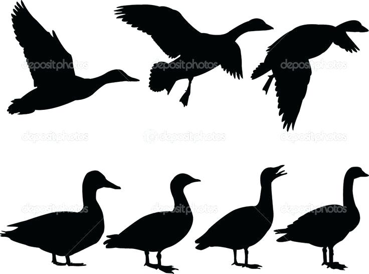 736x546 Flying Duck Silhouette Clip Art Rosenwerk Work