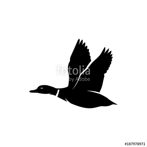 500x500 Flying Duck Vector Silhouette Stock Image And Royalty Free Vector