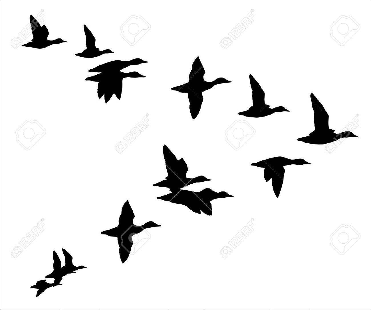 1300x1088 Flock Of Birds Clipart Duck