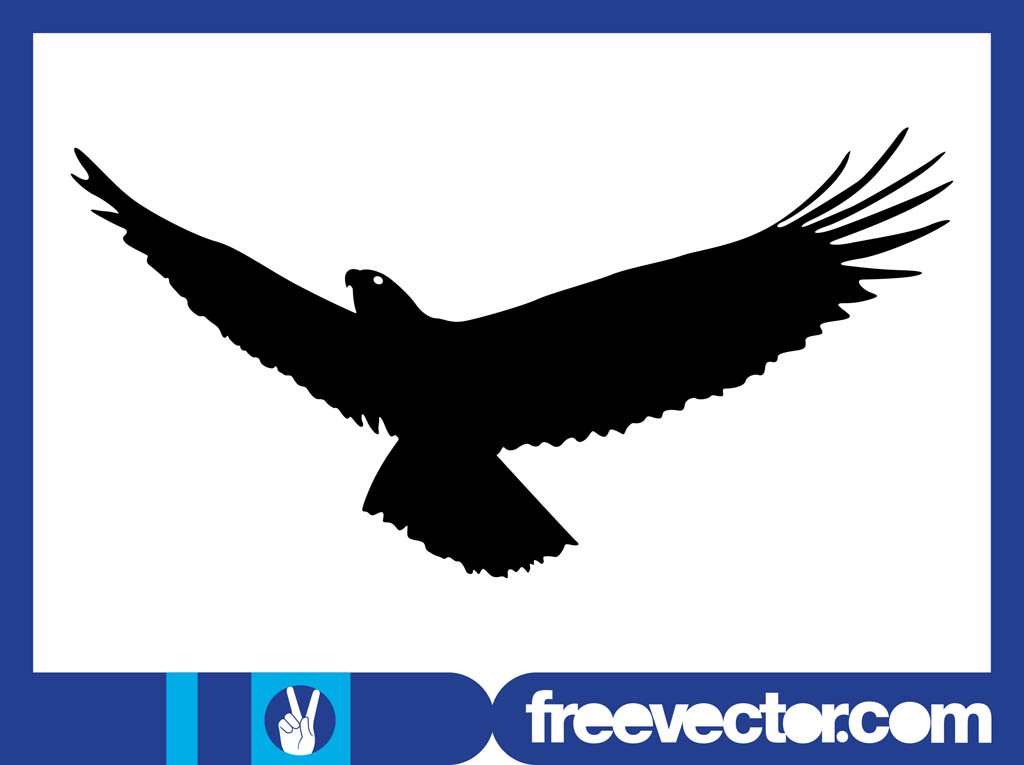1024x765 Flying Eagle Silhouette Graphics Vector Art Amp Graphics