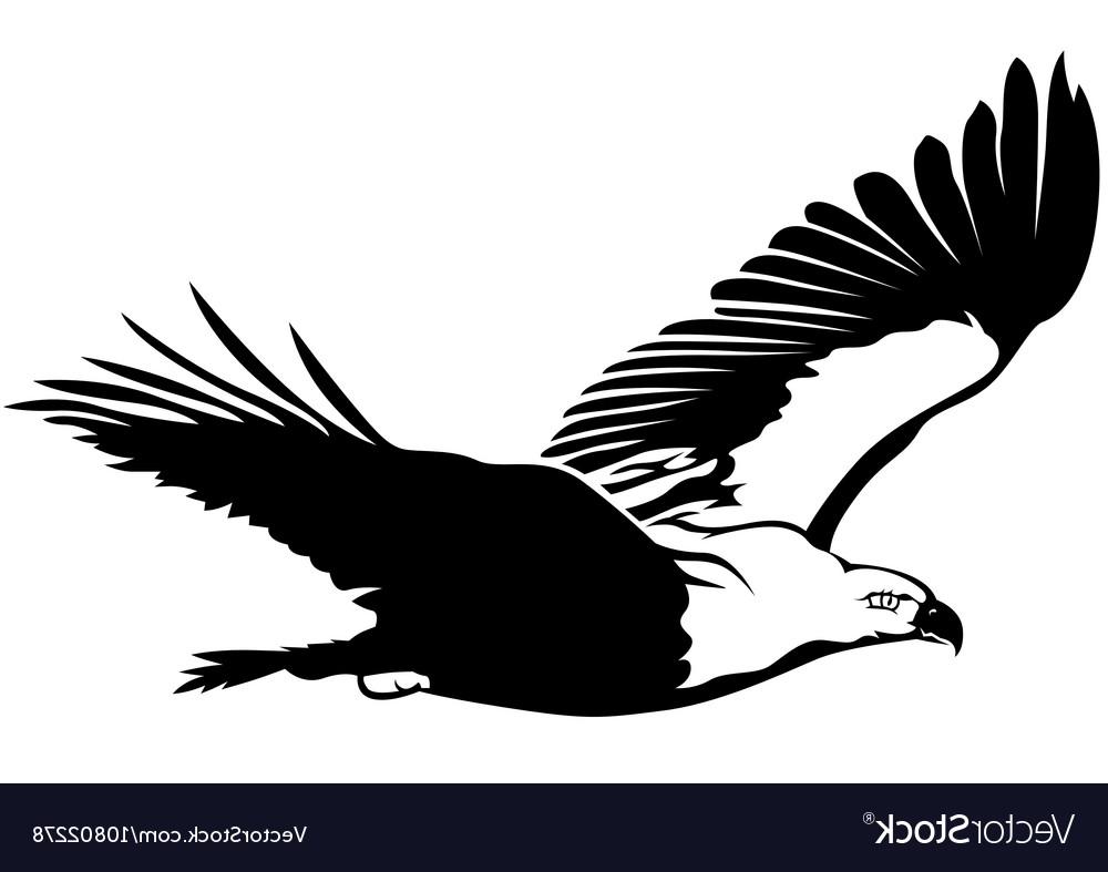 1000x787 Best 15 Flying Eagle Vector Design