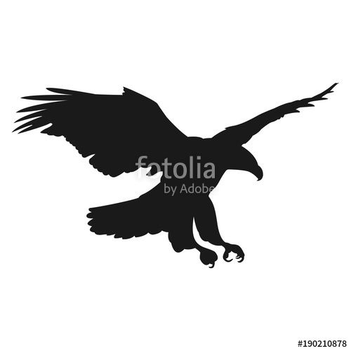 500x500 Flying Eagle Vector Illustration Black Silhouette Stock Image And