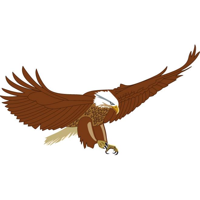 660x660 Flying Eagle Vector