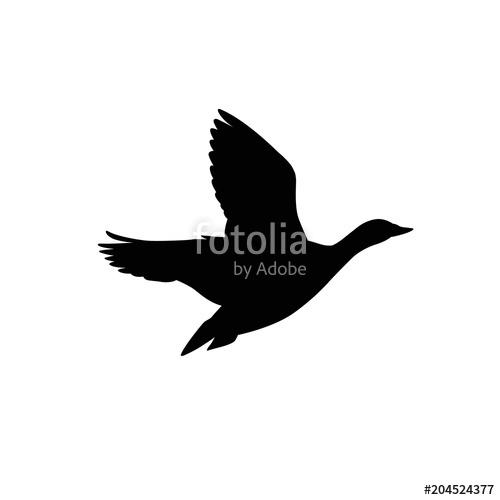 500x500 Flying Goose Stock Image And Royalty Free Vector Files On Fotolia