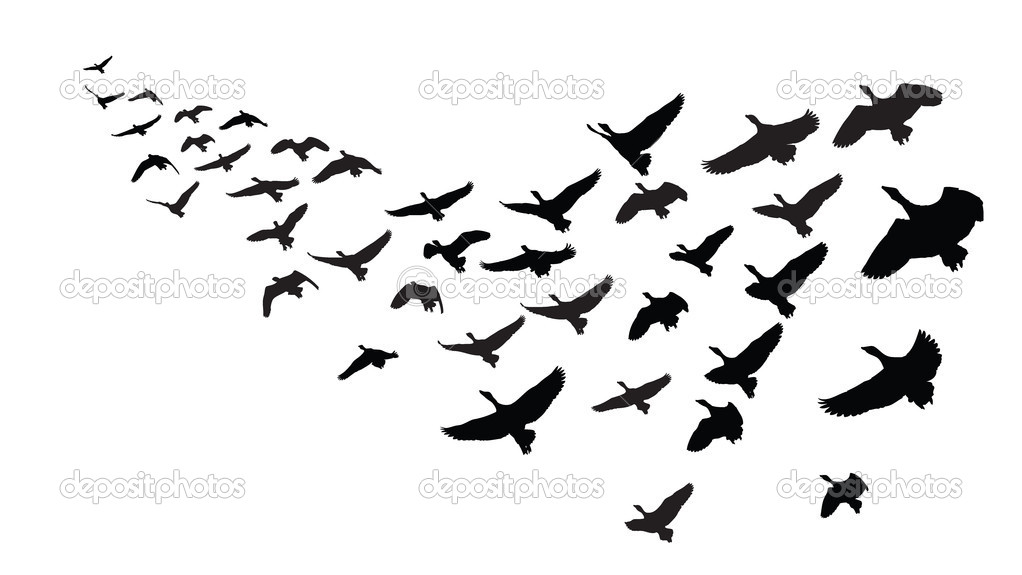 1022x575 Flying Goose Formation Clipart
