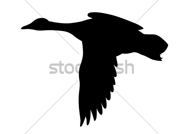 600x438 Geese Flying Stock Vectors, Illustrations And Cliparts Stockfresh