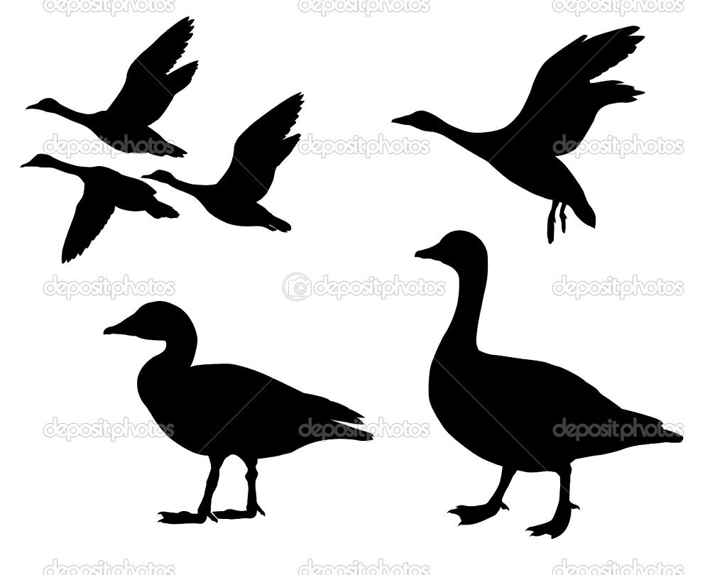 1024x810 Google Image Result For