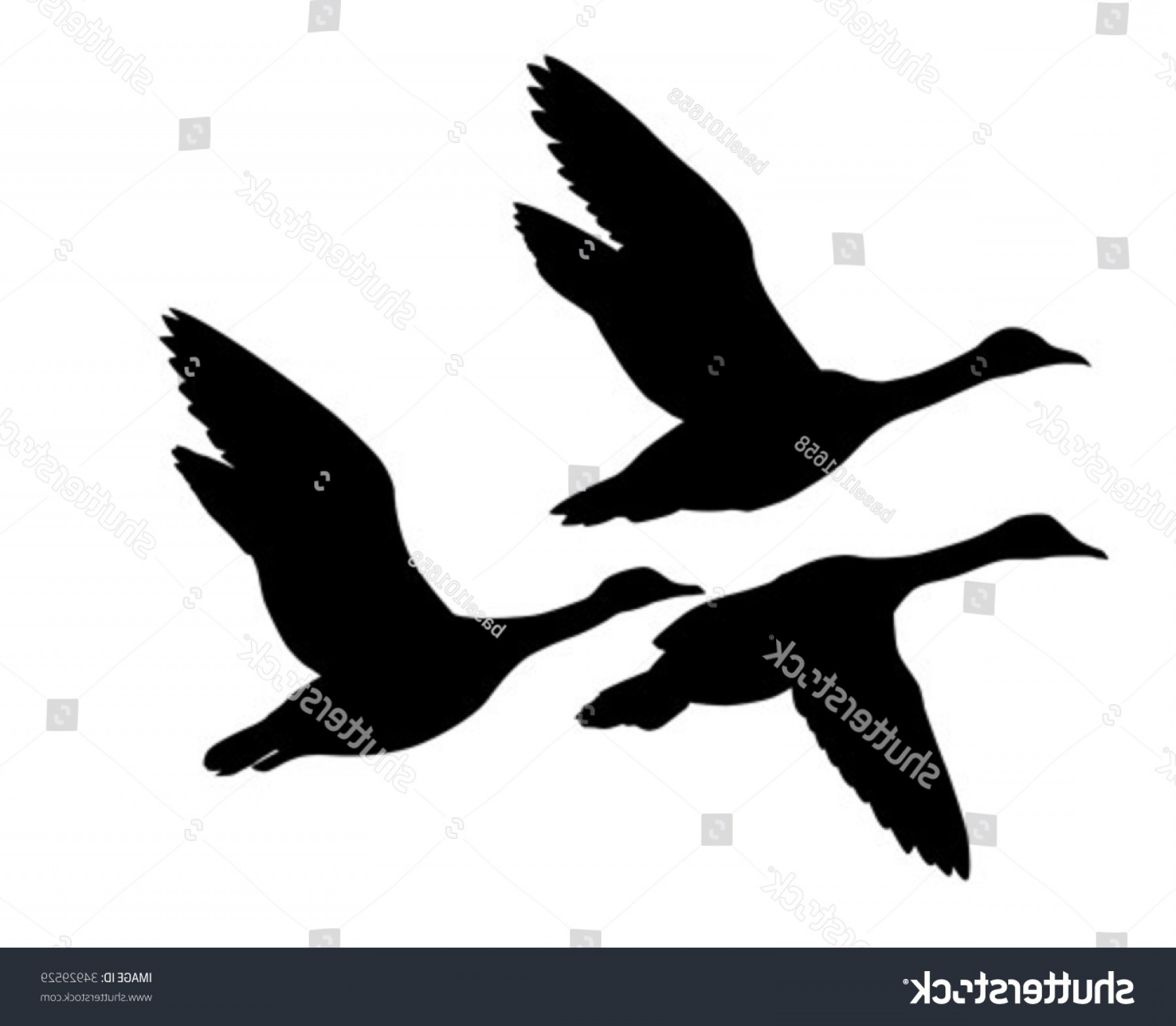 1800x1570 Vector Silhouette Flying Geese On White Createmepink