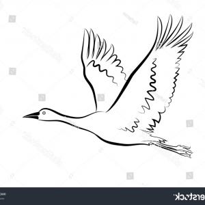 300x300 Vector Sketch Flying Goose On White Orangiausa