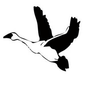 300x300 Collection Of Free Gyse Clipart Flying Goose. Download On Ubisafe