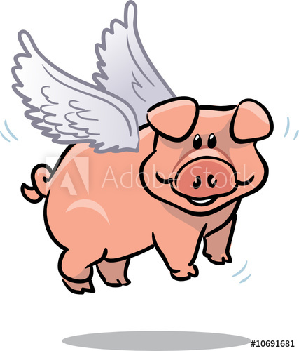 427x500 Vector Cute Flying Pig Illustration