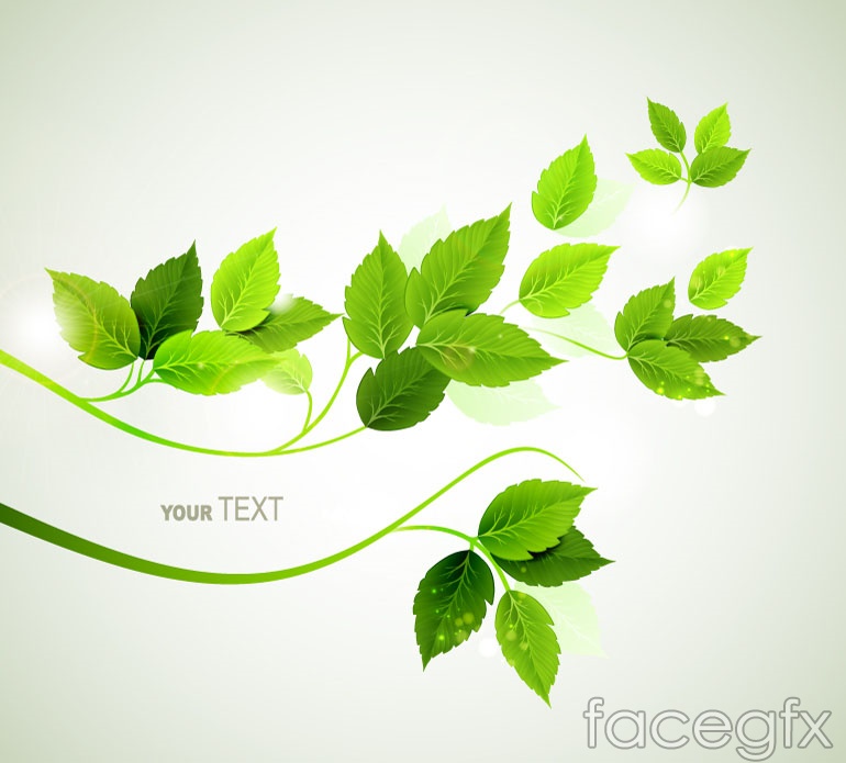 770x695 Green Background Foliage Vector Over Millions Vectors, Stock