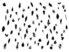 236x177 Large Collection Of Free Trees And Foliage Vector Shapes Graphic