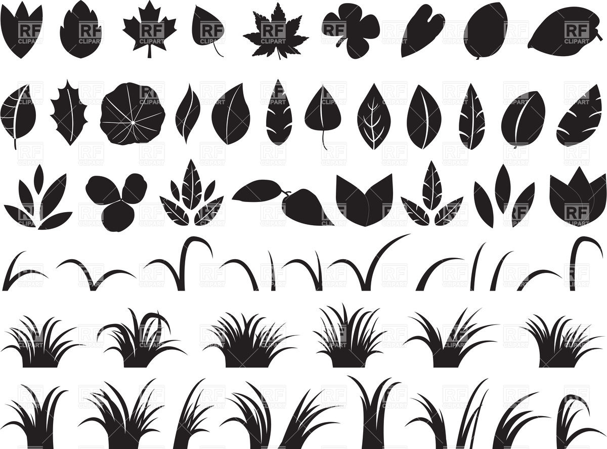1200x887 Leaves Collection