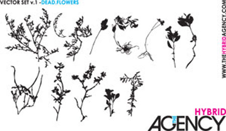 450x261 Resources Foliage Vectors