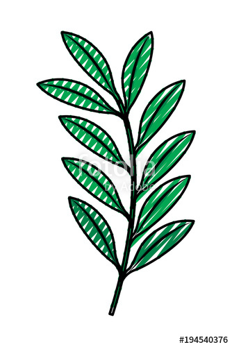 334x500 Green Branch Leaves Nature Foliage Vector Illustration Drawing