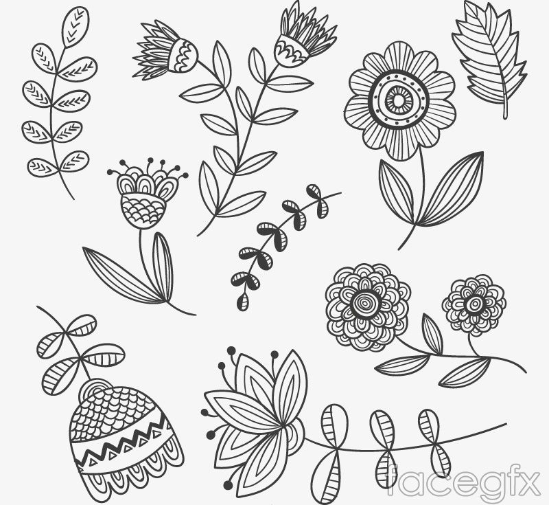 800x735 9 Hand Painted Flowers And Foliage Vector Art