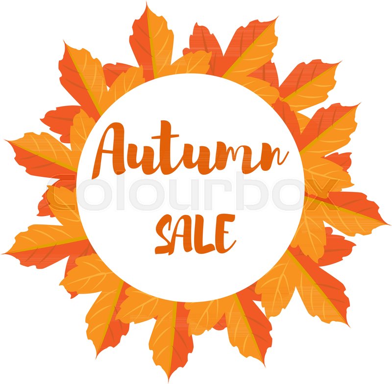 800x782 Autumn Foliage Vector Sale Banner. Autumn Leaves In A Circle